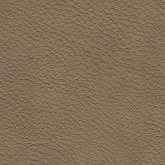 Veronella 5-Piece Sectional with Chaise