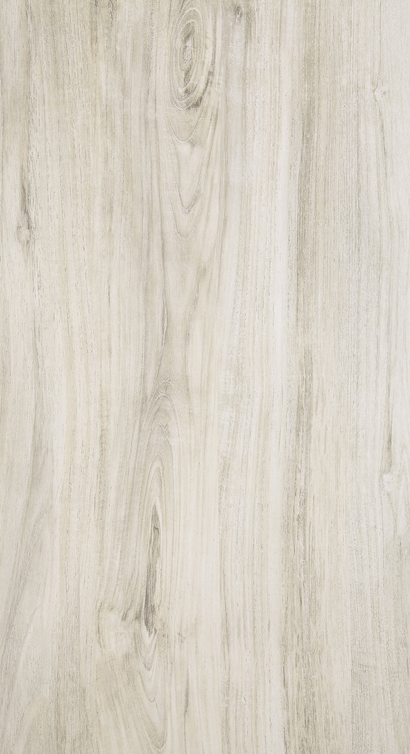 B331/B4/B1/46 : PKG004721