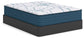 Ashley Express - Limited Edition Plush 3.0 Queen Mattress