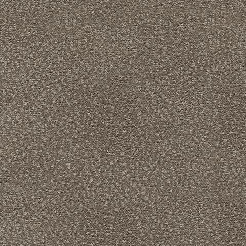 PC5300525